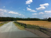 country gravel road next to a field and blue sky