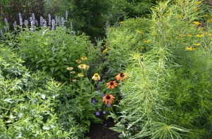 Choose Your Garden so You Thrive Choose Your Garden so You Thrive