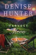 Denise Hunter: On Writing Inspiration