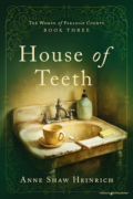Anne Shaw Heinrich: Authors Interviewing Characters