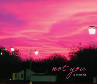 What Called Me to Write Not You, My Memoir by Megan Harris Madramootoo