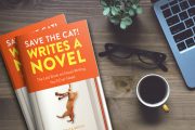 3 Common Plotting Mistakes to Avoid When Writing a Novel