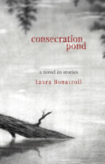 ​What Is a Novel-in-Stories, and Why Might You Want to Write One? by Laura Bonazzoli