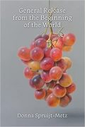 Interview with Donna Spruijt-Metz, author of General Release from the Beginning of the World