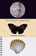 Excerpt of THE SMALLEST OBJECTIVE