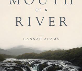 Staying Still By Hannah Adams