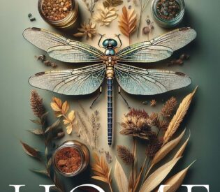HOME: A Memoir of Family, Forgiveness, and Healing from Complex PTSD by Amy Smyth Miller