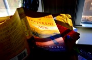 Book Review: Elaine Neil Orr –  A Different Sun