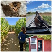 How I went Amish for Three Days to Research my Thriller By C.G. Twiles