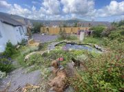 Stories, and the Unexpected Garden Path