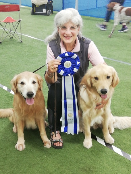How Dogs Led to my Emergence As a Novelist - Women Writers, Women's ...